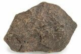 Chondrite Meteorite ( grams) - Western Sahara Desert #232937-1